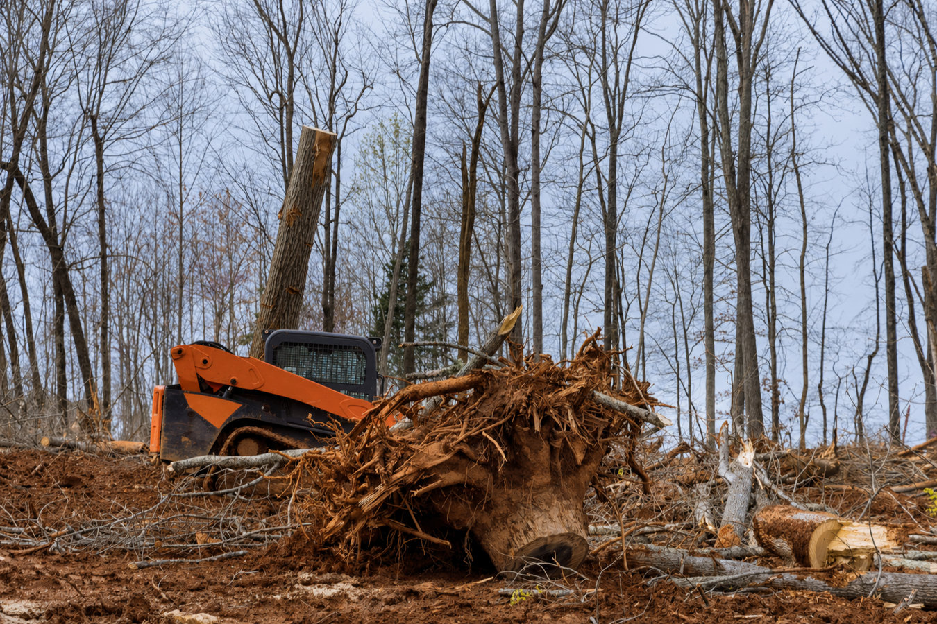 Land clearing in Wildomar, CA
